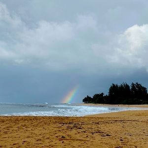 Meet your Posher, Lex